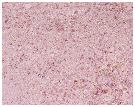 Dehydrated Pink Onion - Galaxy Expo Company